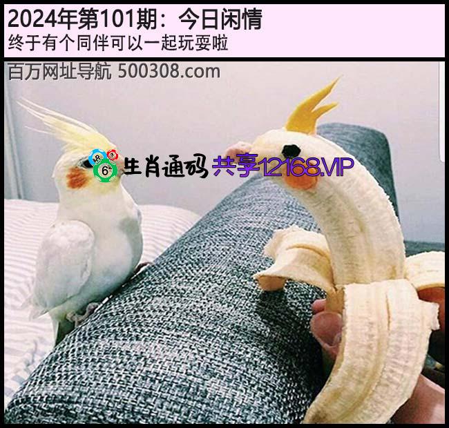 101期今日闲情：终于有个同伴可以一起玩耍啦。