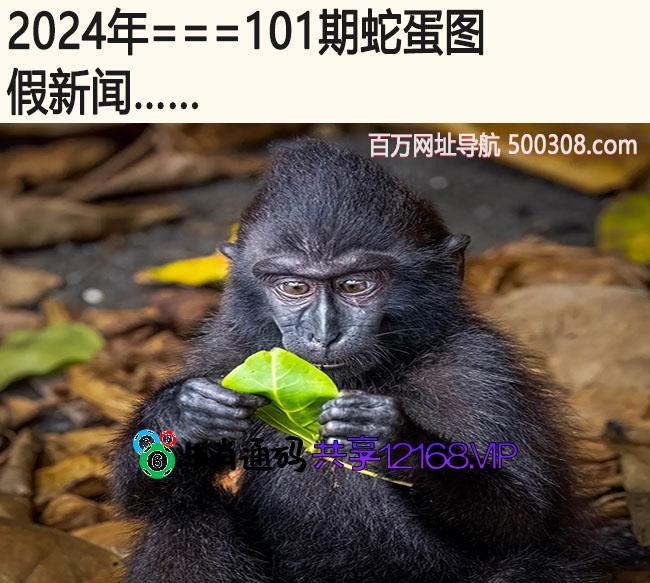 101期蛇蛋图：假新闻……