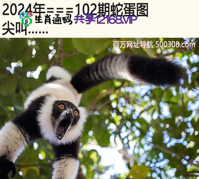 102期蛇蛋图：尖叫……