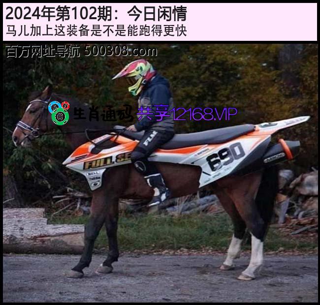 102期今日闲情：马儿加上这装备是不是能跑得更快